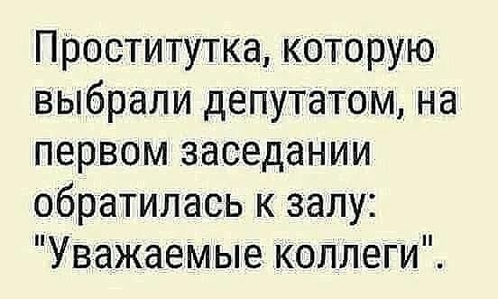 Коллеги