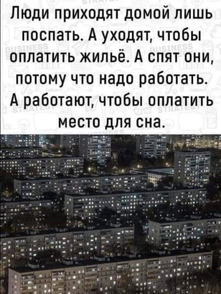 picture_305975463