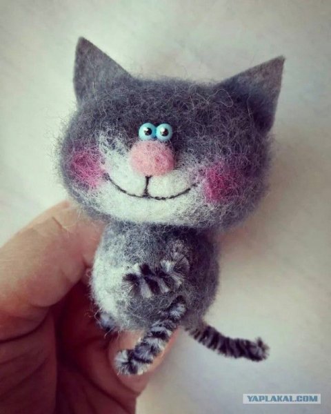 D6df2fc3301bd85b1738448caf25d287