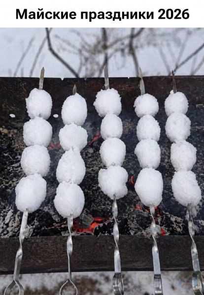Мясо снеговика )