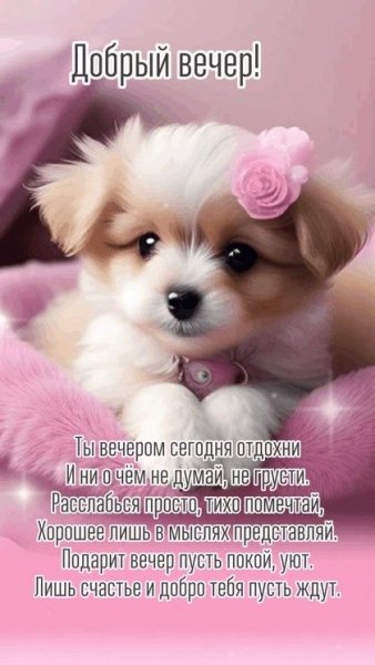 6c192b82109b14ca878e4dd08c6f842c