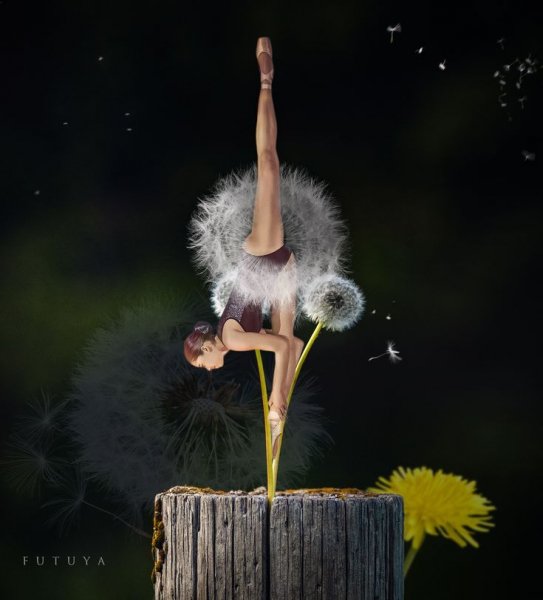 06e522e206727b68c4f68305ad4121cb