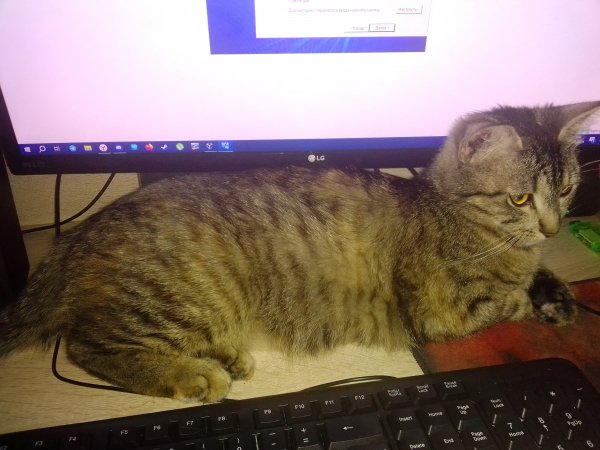 8d100771-de00-4a0e-9861-d549402140c3