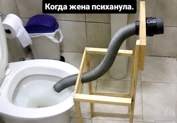 picture_412803264