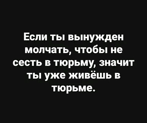 IMG 17144708045324211