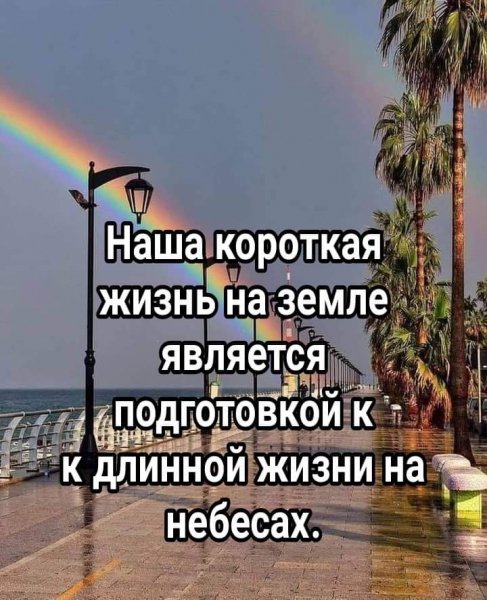 Не откладывай на потом, чтобы не было поздно