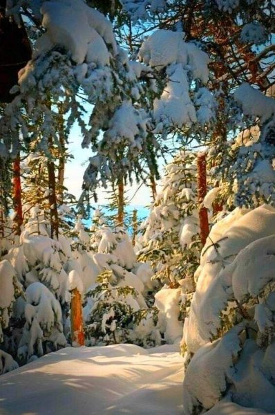 FB IMG 1609992655985