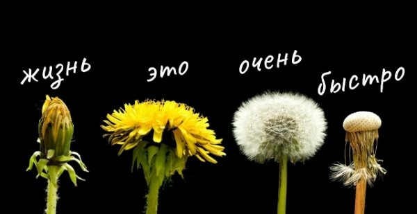 TPFCKPwvi0dKHhV-L1Ny9rUUjQ30u74mZWrSW8IRUbHemZVBvb5MgYldemUl