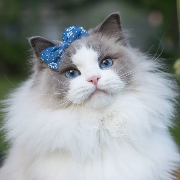 9a3f4e6cef2ab7c8e0ffdeb4ca9d3074