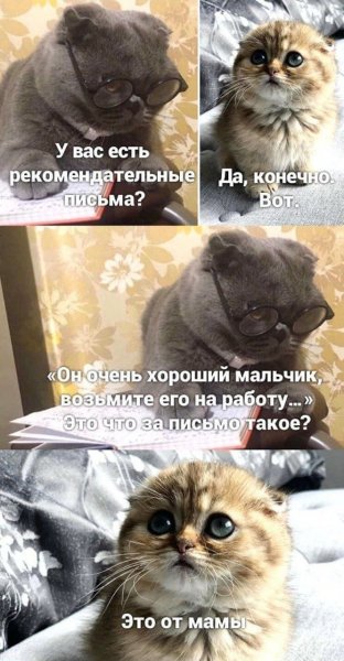 picture_414693964