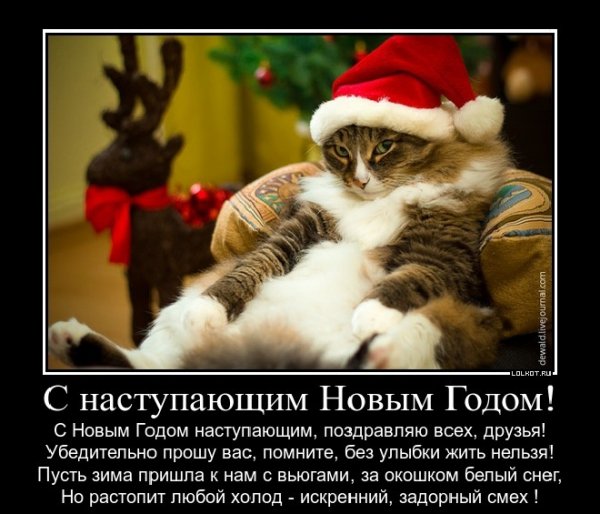 Всех вас!