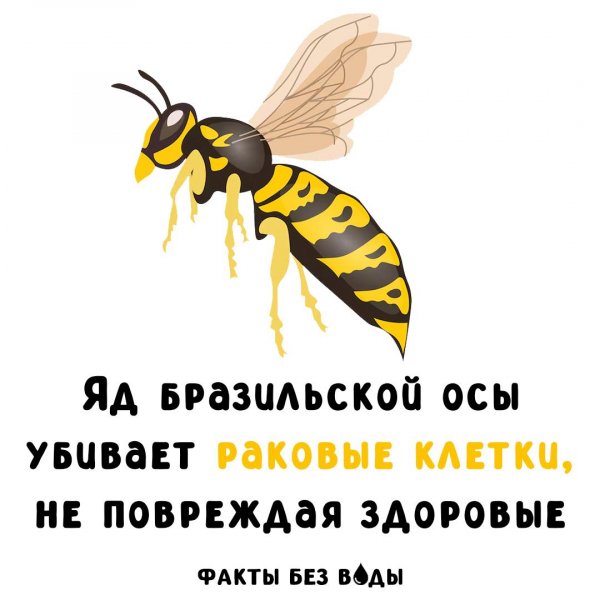 IMG 20250515 120238 453