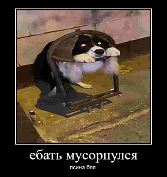 picture_402472998