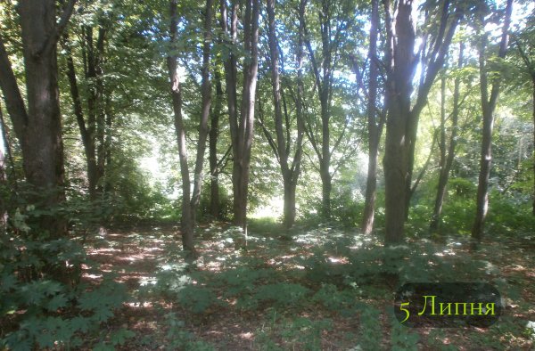 5 Липня