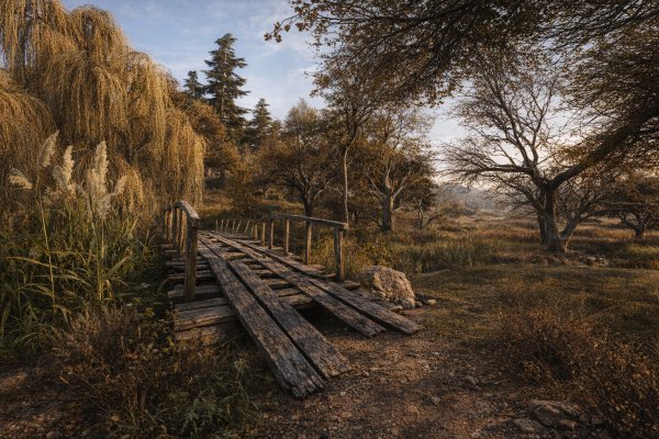 С.Т.А.Л.К.Е.Р. Dead Air