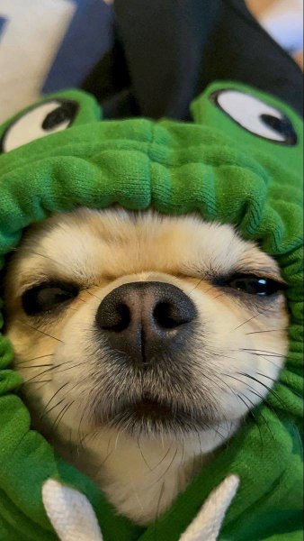 5e22702075e0b736ac62aff8b1a605c1