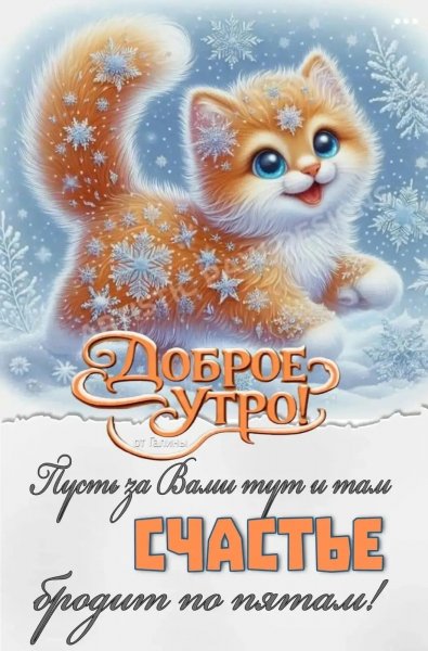 IMG 20260125 172411 650