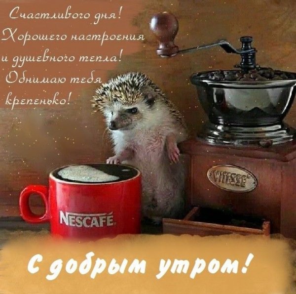 db3138b3f0d49788bd339a71