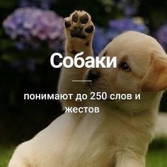 f20b730d874d584b48f814bbf7
