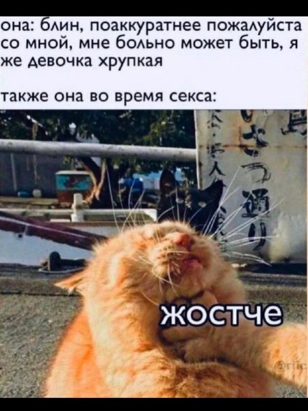 IMG 20260419 100935 421