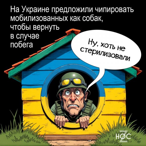 IMG 20251118 144945 217