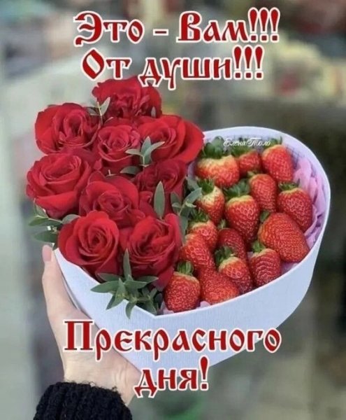 Прекрасного дня Вам!