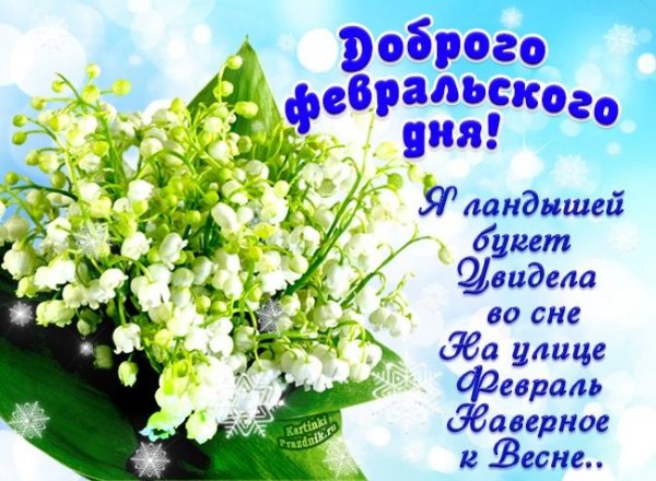 Друзья мои!