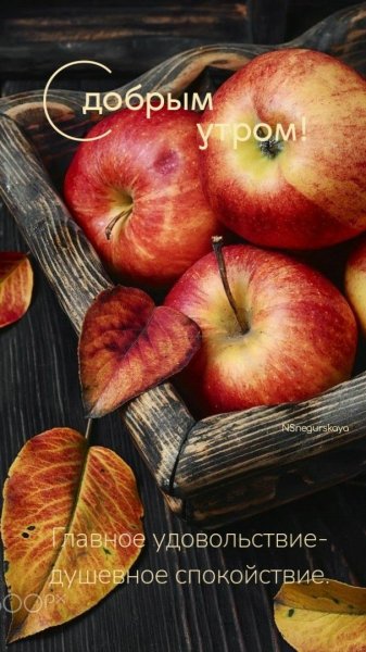 Доброе утро