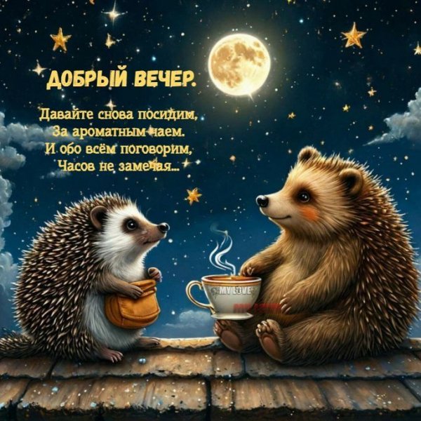 81ec698710b9bd6d1b4b8dc8a27ec858