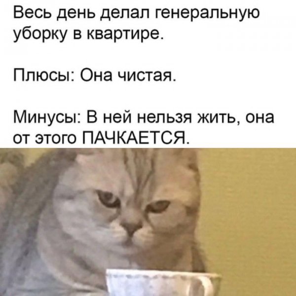 Iz-socsetej-dlja-otlichnogo-nastroenija-1