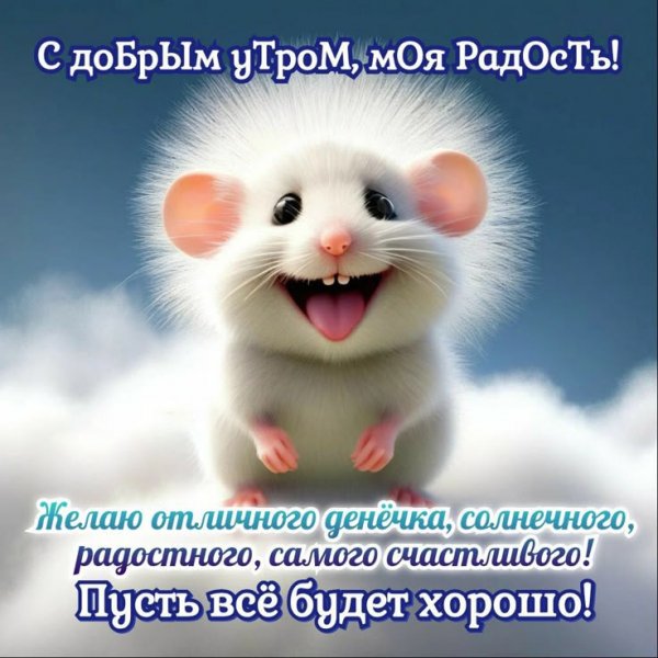 C02936fcd81341f6611fddcae522c65c