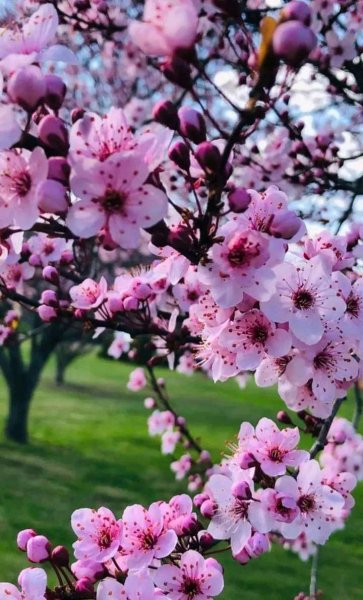 FB IMG 1713367749102