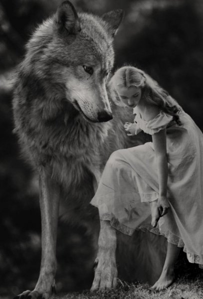 1faae86021d54ff6817adca7a7645b9e