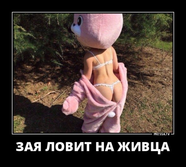 EB188D23-7804-4216-9C6E-C225758FFBE7