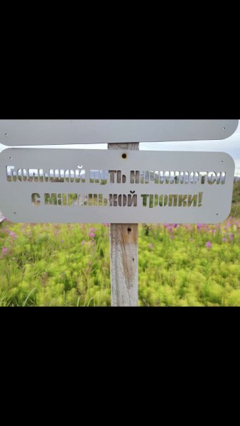 Screenshot 20220717-150408 WhatsApp