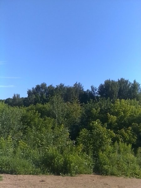 picture_274046533