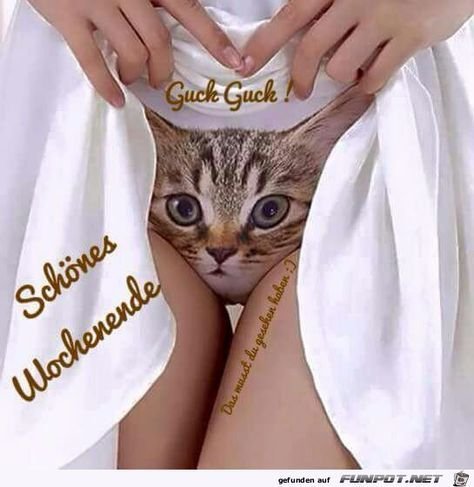 f3101e15f452efddf33e16dca7bbd852