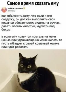 I - 2025-05-04T204102.848