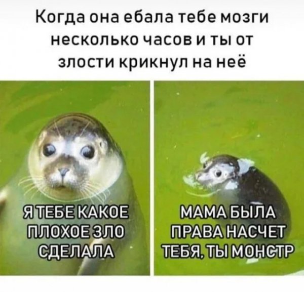 Nfbbezdt