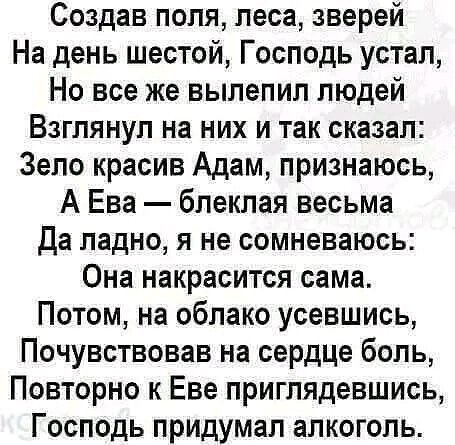 IMG 20260213 140350
