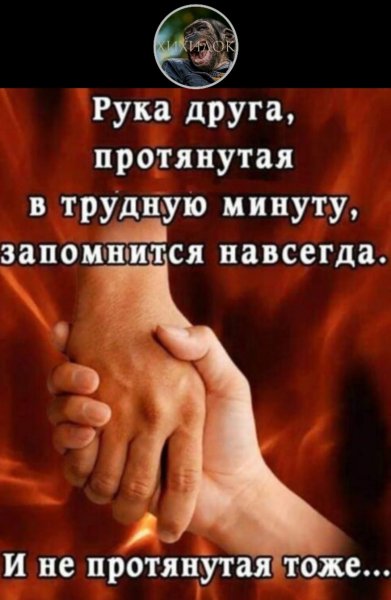 Верные слова!