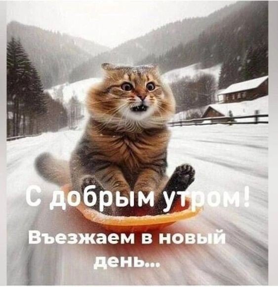 5ecc8571f200f82a69296f6f6b90b28b