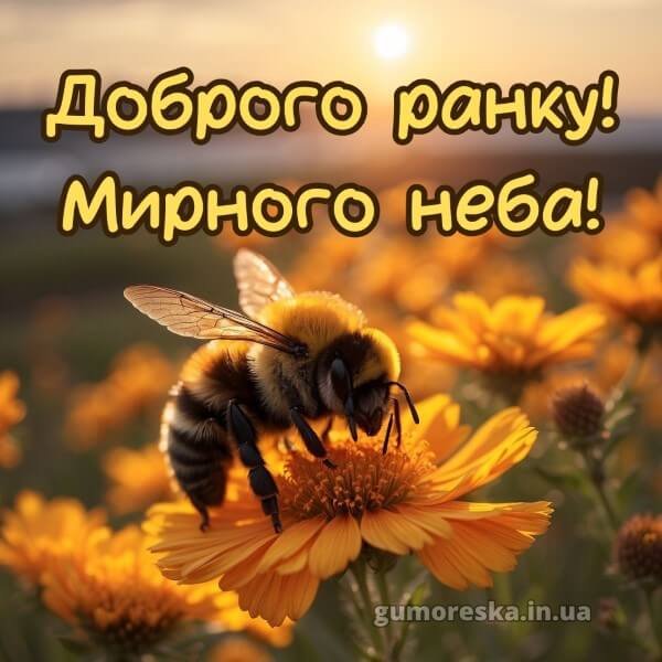 Dobrogo-ranku-mirnogo-neba-kartinki-ukrayinskoyu-1