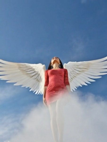 Screenshot 20260129-181919 Gallery