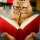 file_46448400