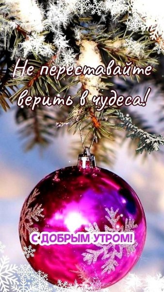 IMG-1a512e9ef704159e39d85b70ad201bb5-V