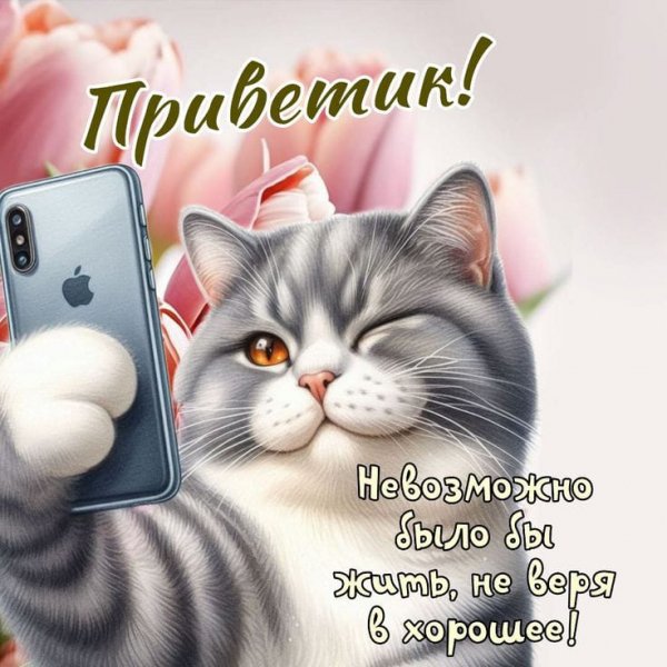 B3103badbd214d60a626ed7bafe00c8b