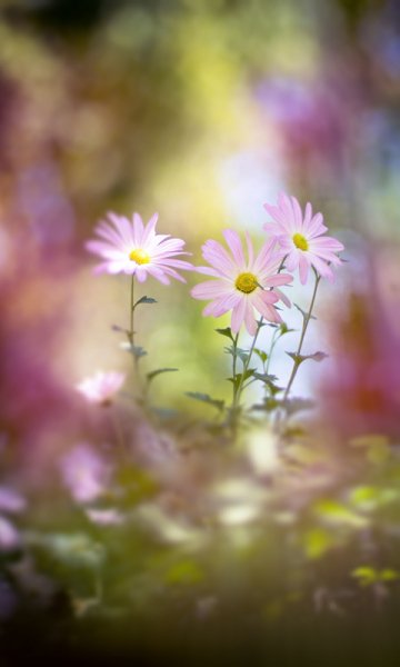 Природа