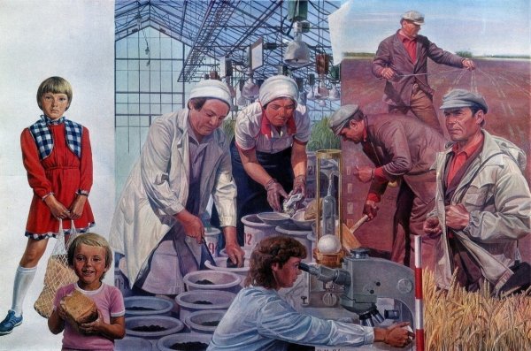 Дорога хлеба 1984 год