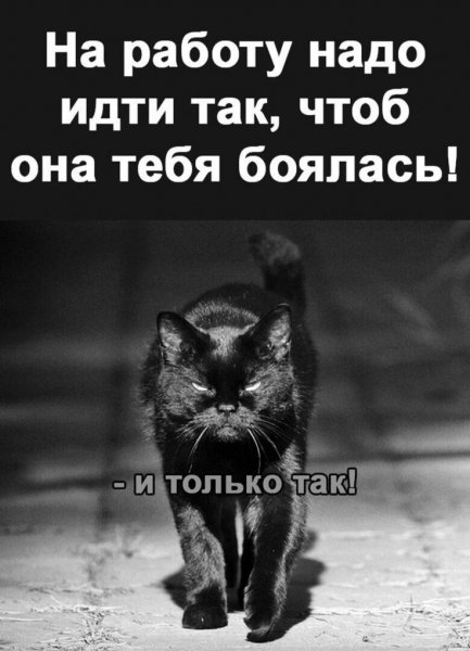 E66fed04-85d8-40f7-8fc3-2d4c2741afa7